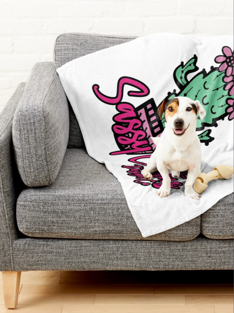 1. PET BLANKET
